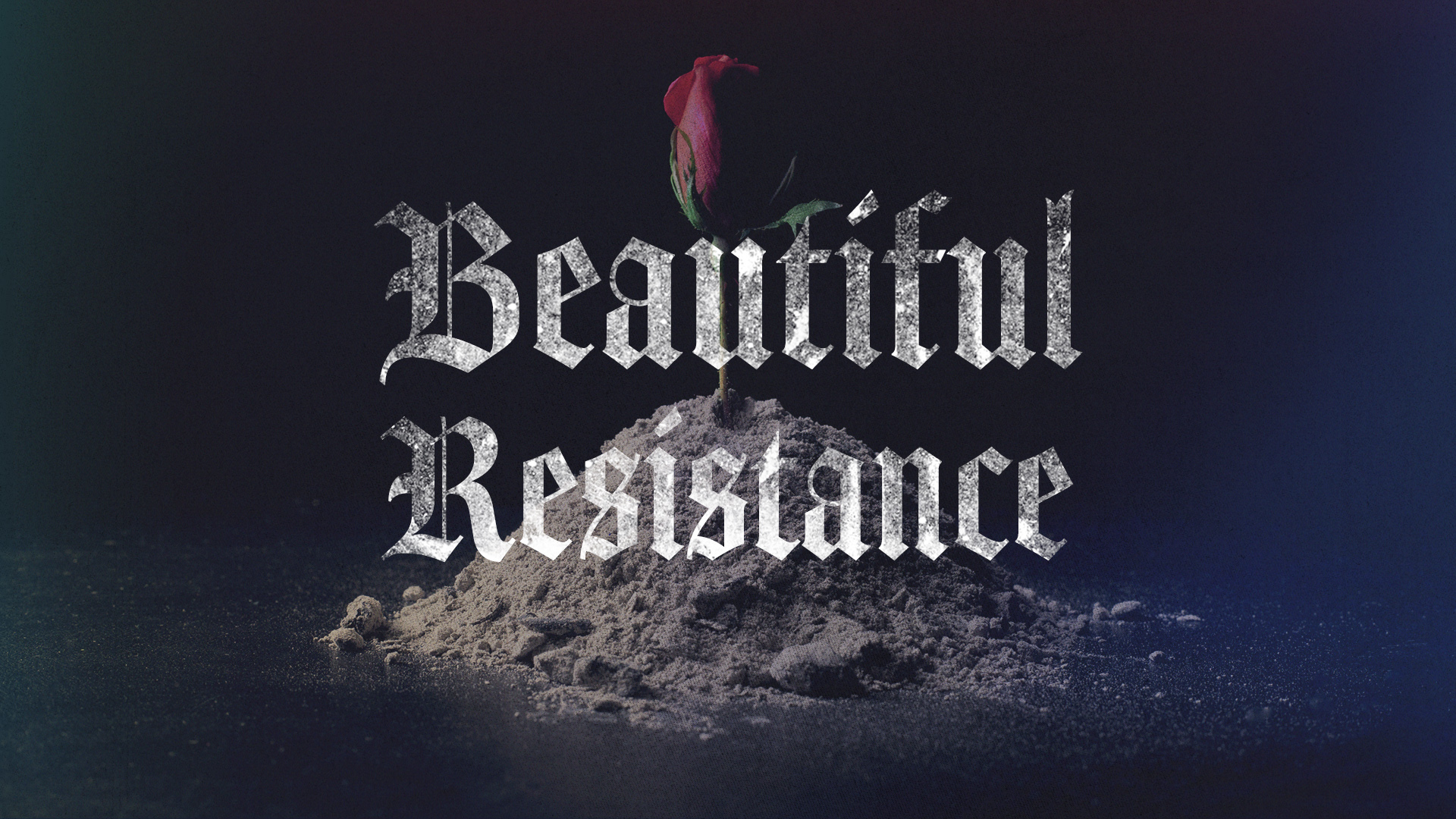 Beautiful Resistance